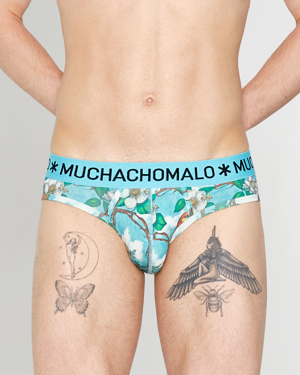 Muchachomalo Fruit Origin Brief Fruit-origin-print-a