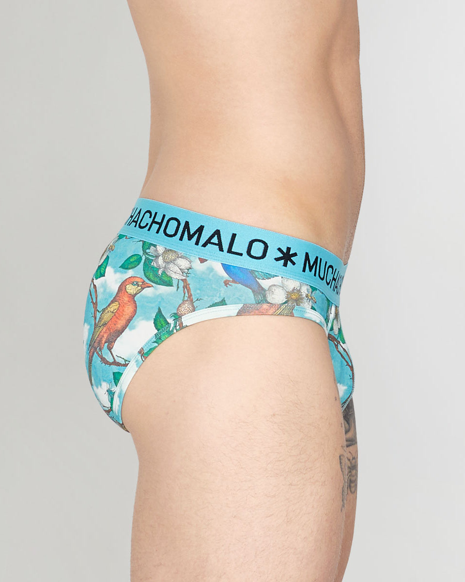 Muchachomalo Fruit Origin Brief Fruit-origin-print-a