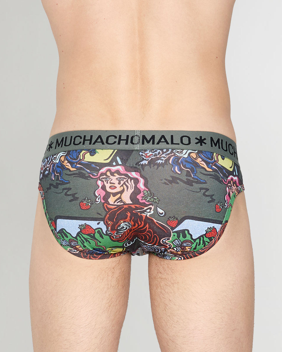 Muchachomalo Fruit Origin Brief Fruit-origin-print-b