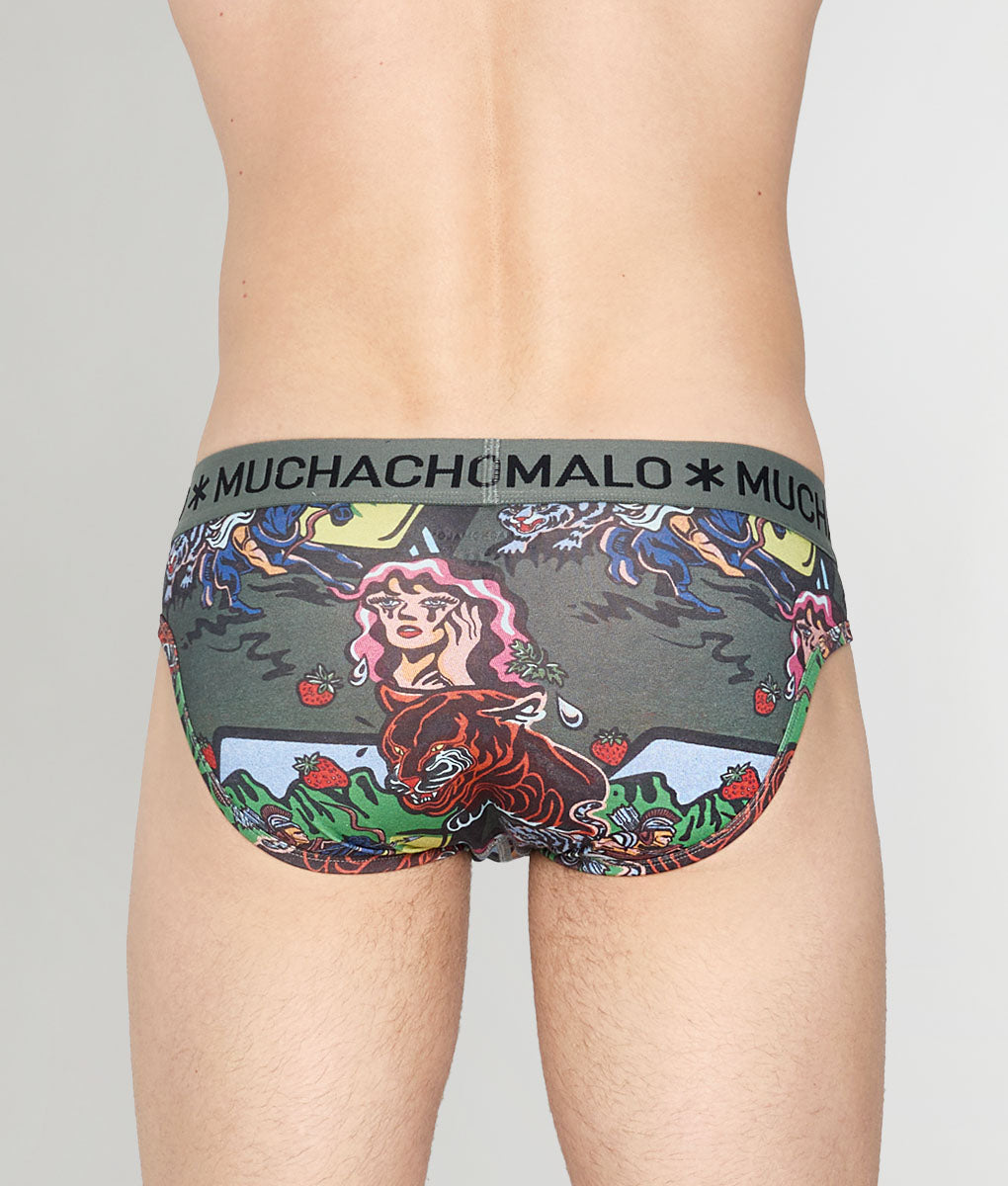 Muchachomalo Fruit Origin Brief Fruit-origin-print-b