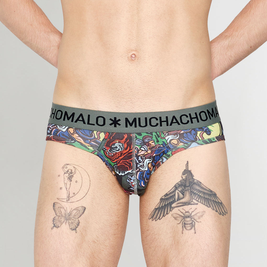 Muchachomalo Fruit Origin Brief Fruit-origin-print-b