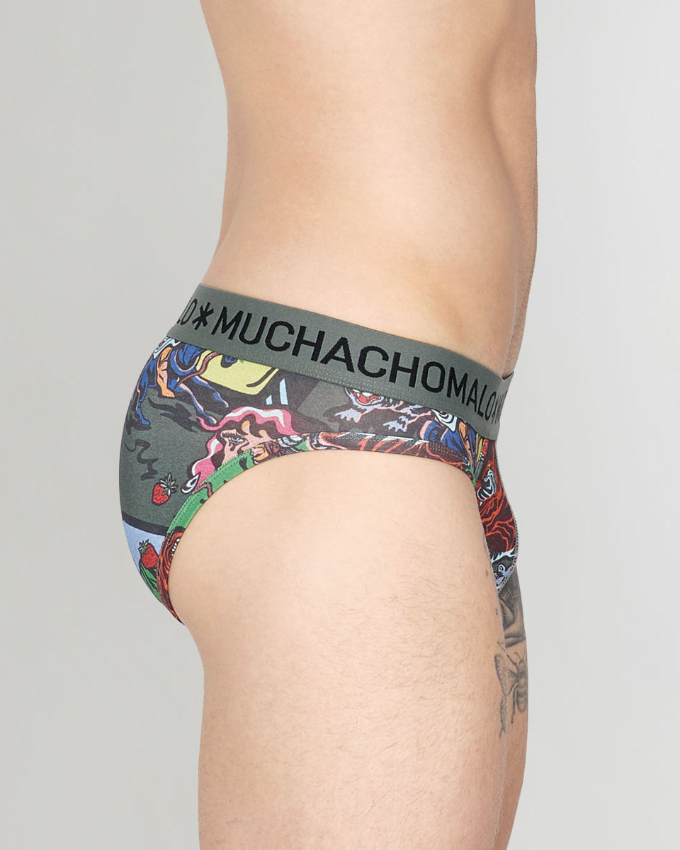 Muchachomalo Fruit Origin Brief Fruit-origin-print-b