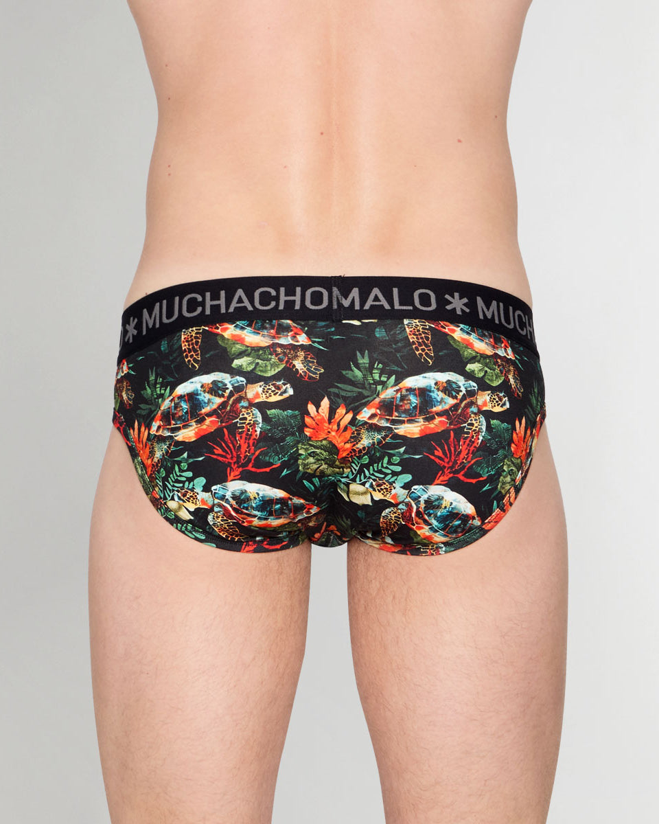 Muchachomalo Turtle Brief Turtle