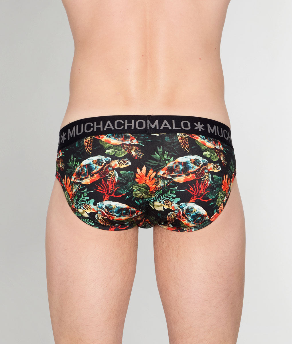 Muchachomalo Turtle Brief Turtle