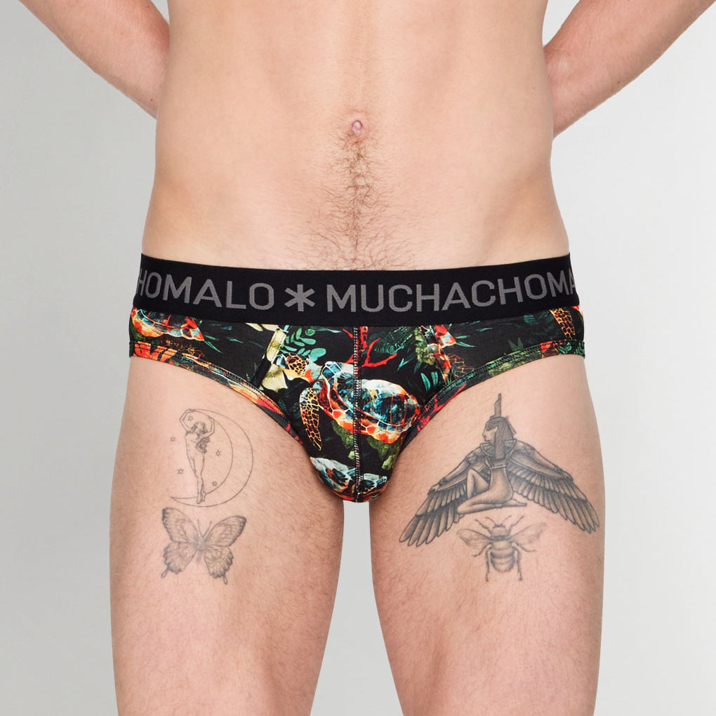 Muchachomalo Turtle Brief Turtle