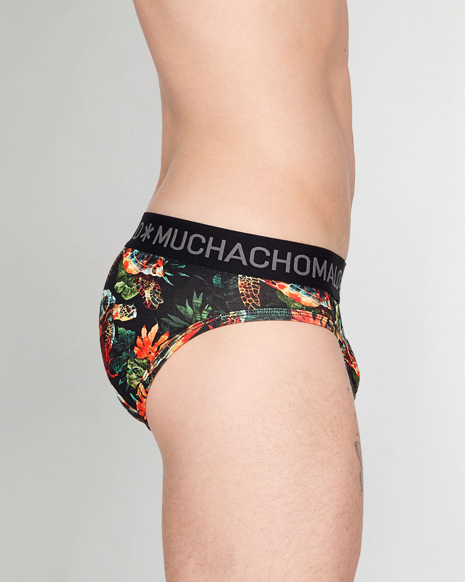 Muchachomalo Turtle Brief Turtle