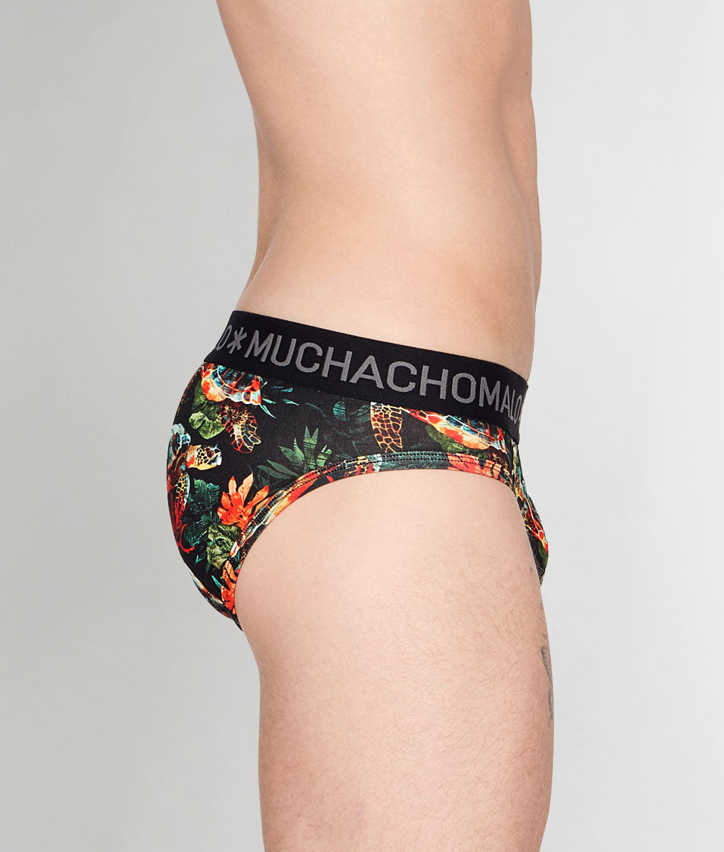 Muchachomalo Turtle Brief Turtle