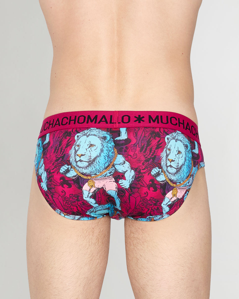 Muchachomalo Kingkat Brief Kingkat-print-a