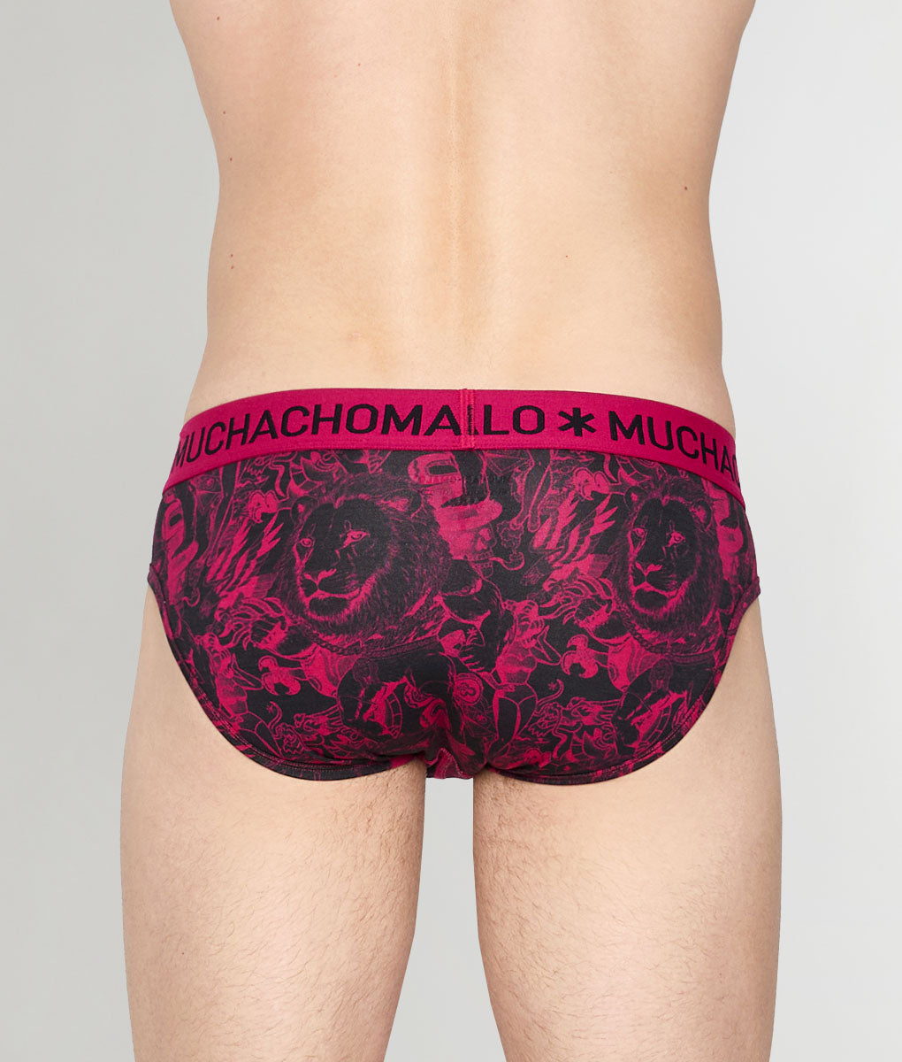 Muchachomalo Kingkat Brief Kingkat-print-b