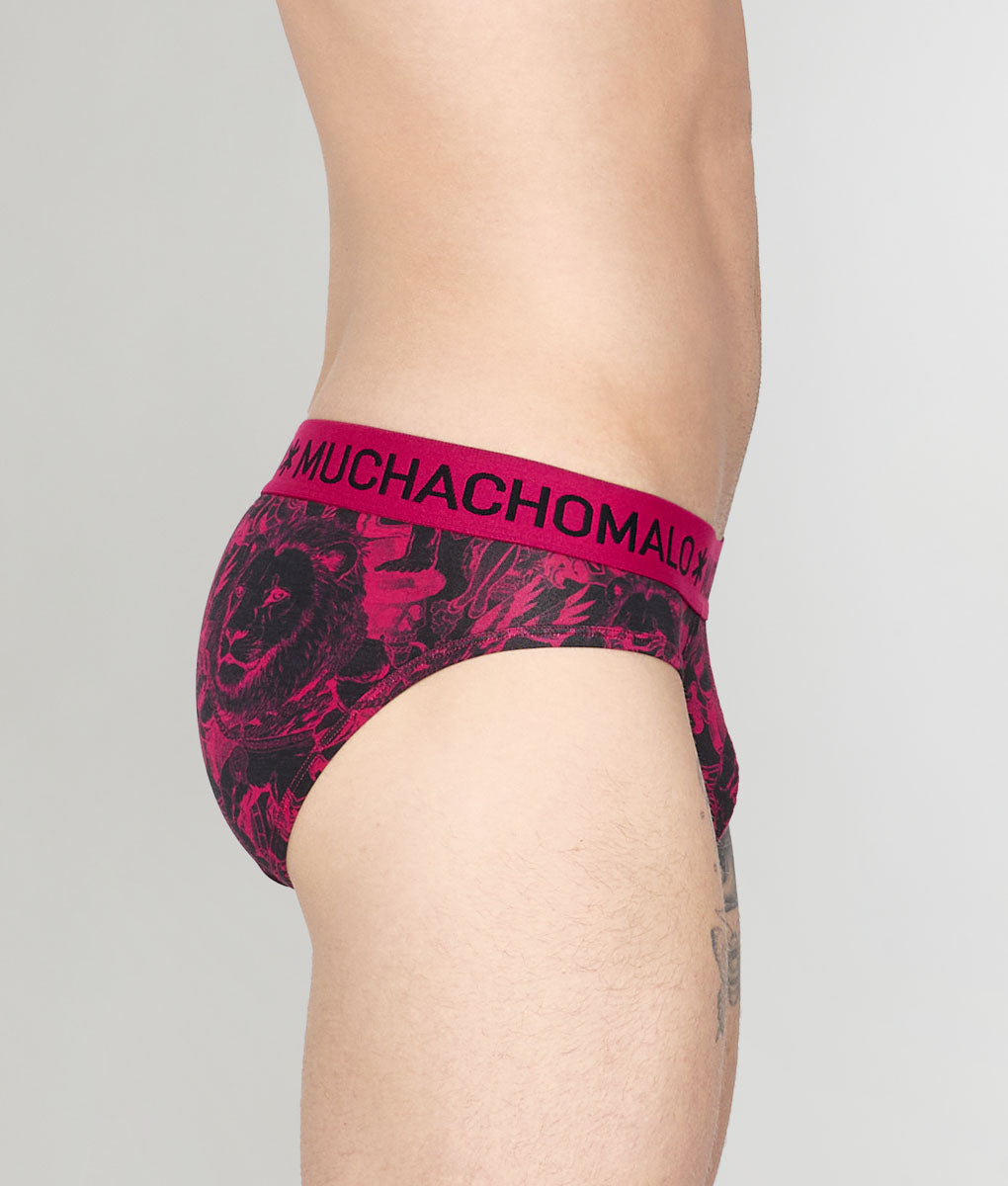Muchachomalo Kingkat Brief Kingkat-print-b