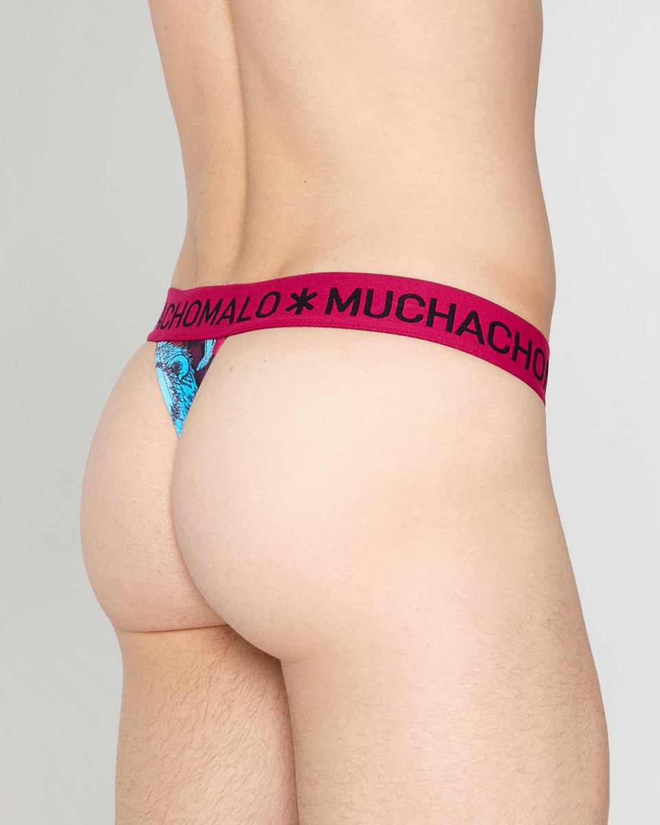 Muchachomalo Kingkat Thong Kingkat-print-a