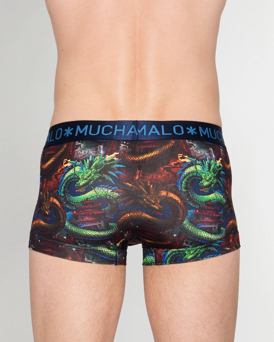 Muchachomalo Dragon Trunk Dragon