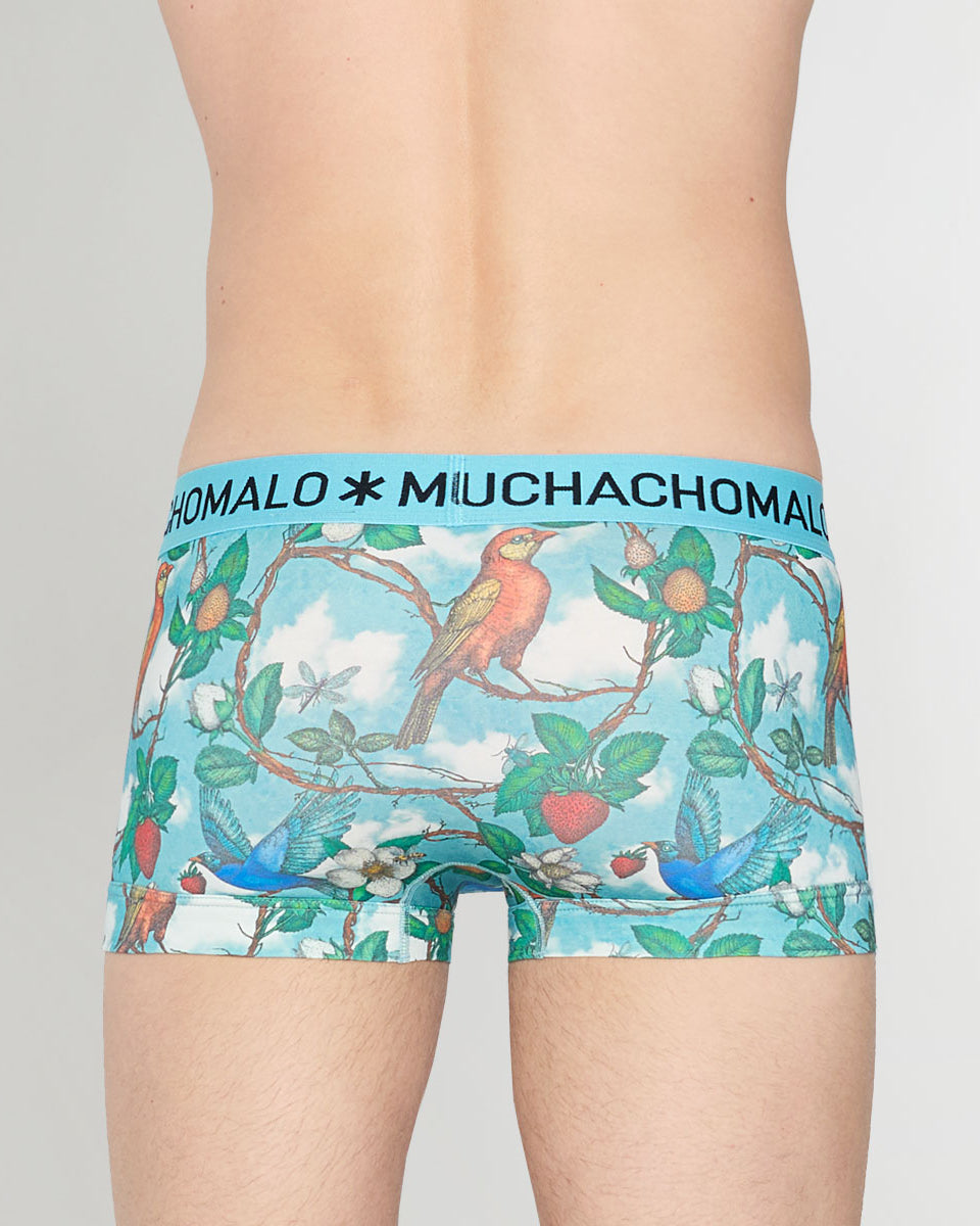 Muchachomalo Fruit Origin Trunk Fruit-origin-print-a