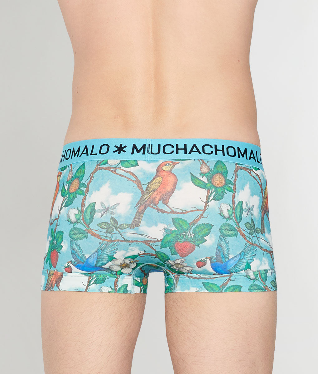 Muchachomalo Fruit Origin Trunk Fruit-origin-print-a