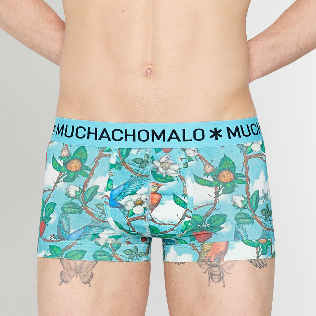 Muchachomalo Fruit Origin Trunk Fruit-origin-print-a