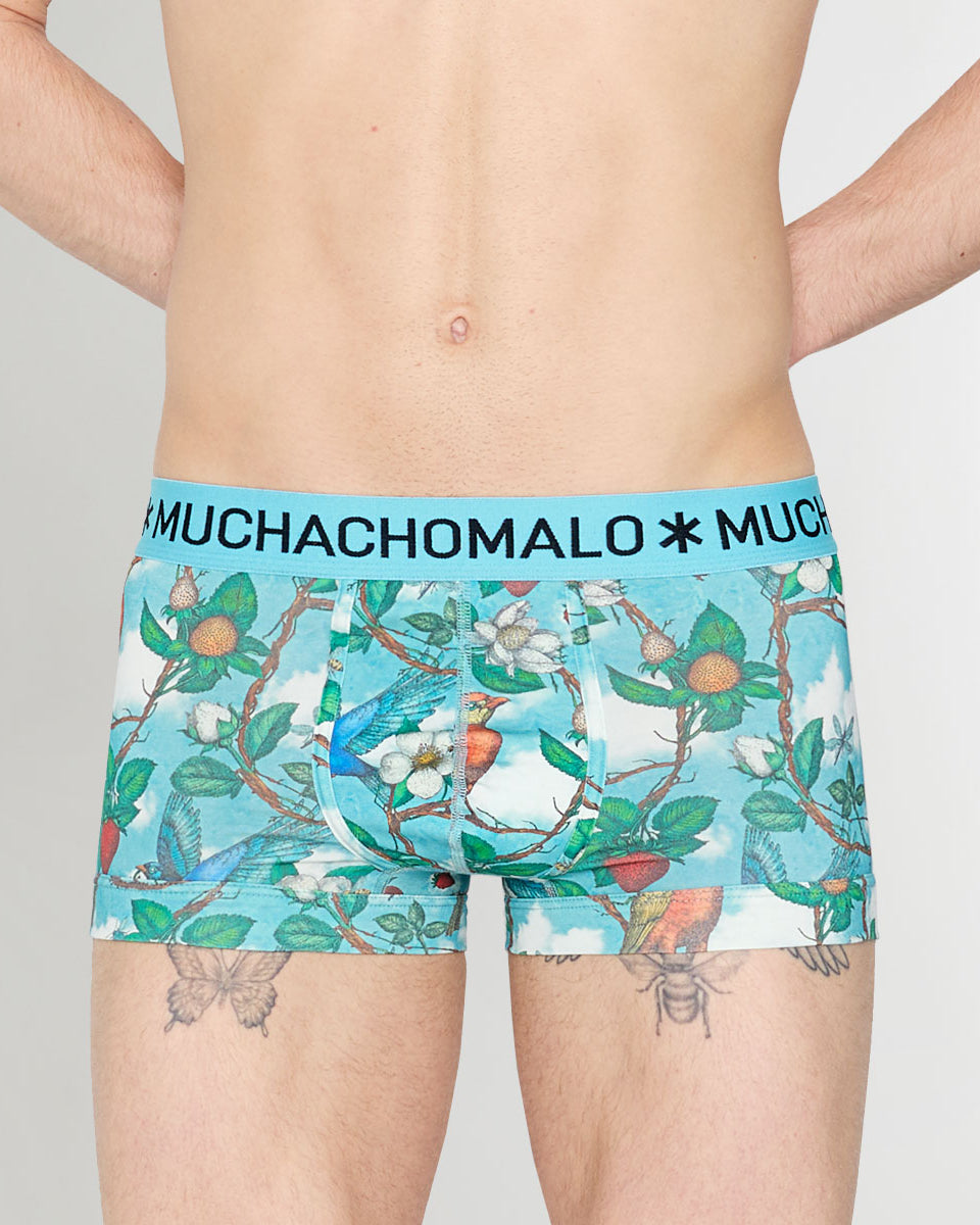 Muchachomalo Fruit Origin Trunk Fruit-origin-print-a