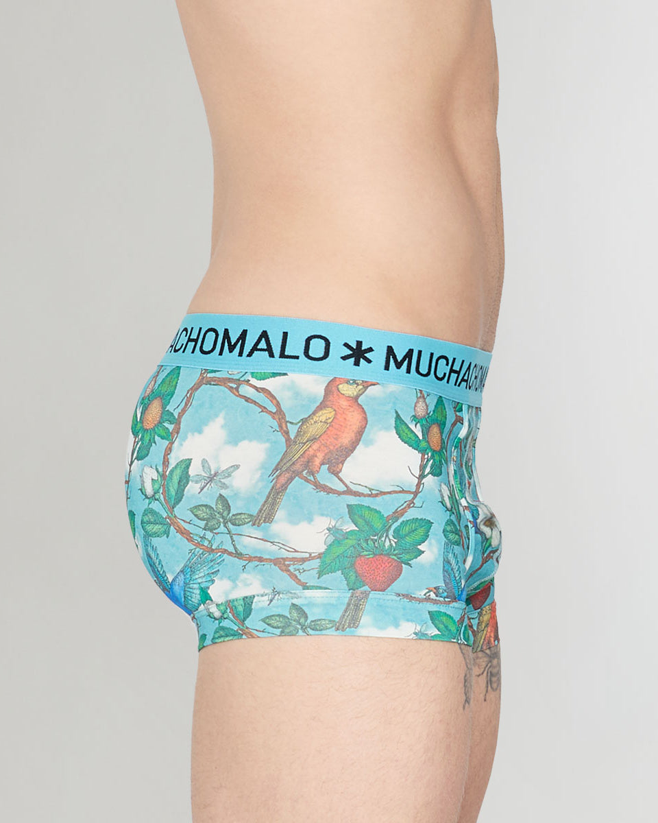 Muchachomalo Fruit Origin Trunk Fruit-origin-print-a
