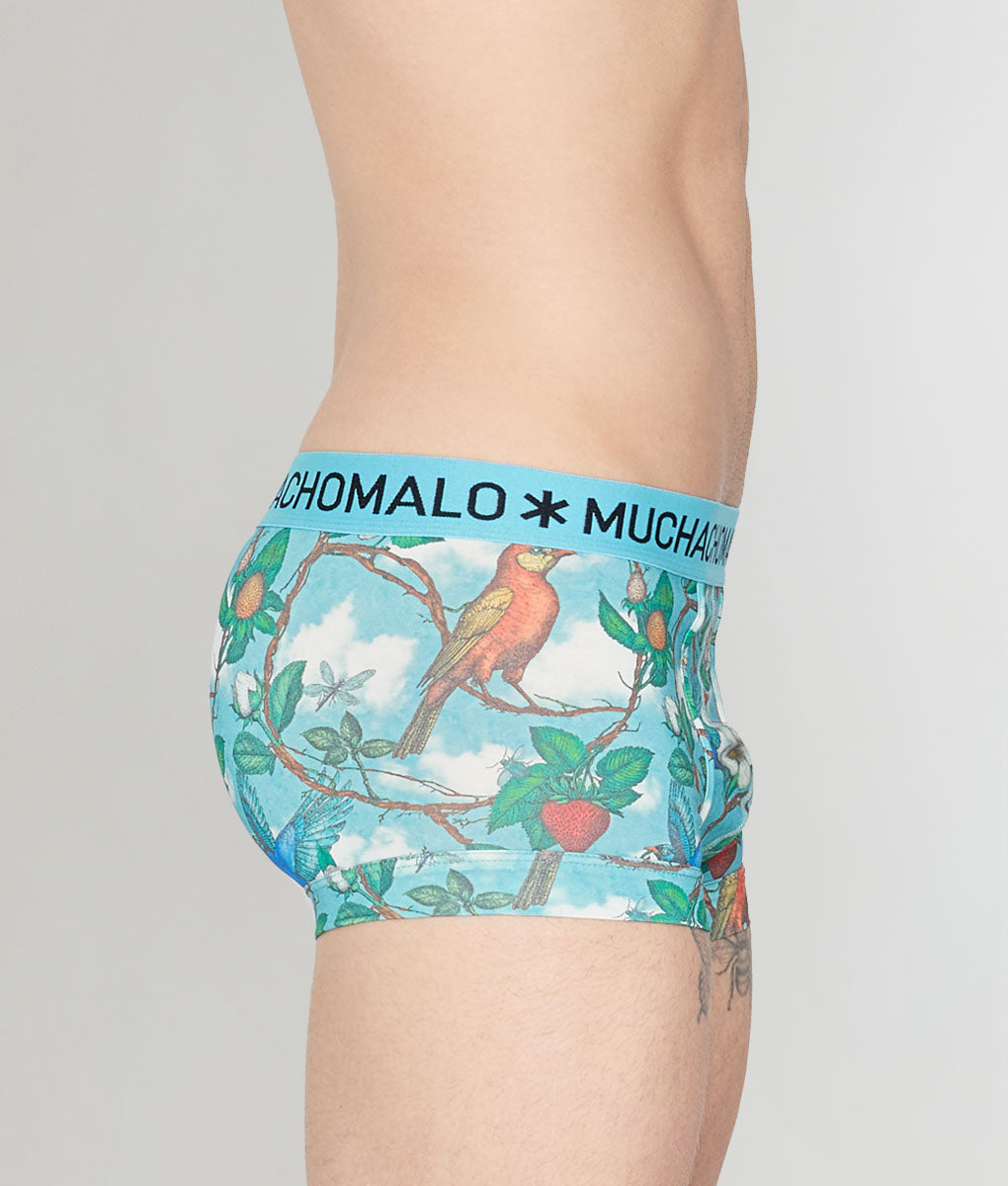 Muchachomalo Fruit Origin Trunk Fruit-origin-print-a