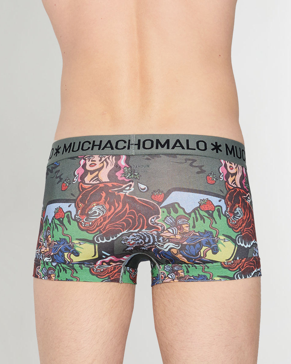 Muchachomalo Fruit Origin Trunk Fruit-origin-print-b