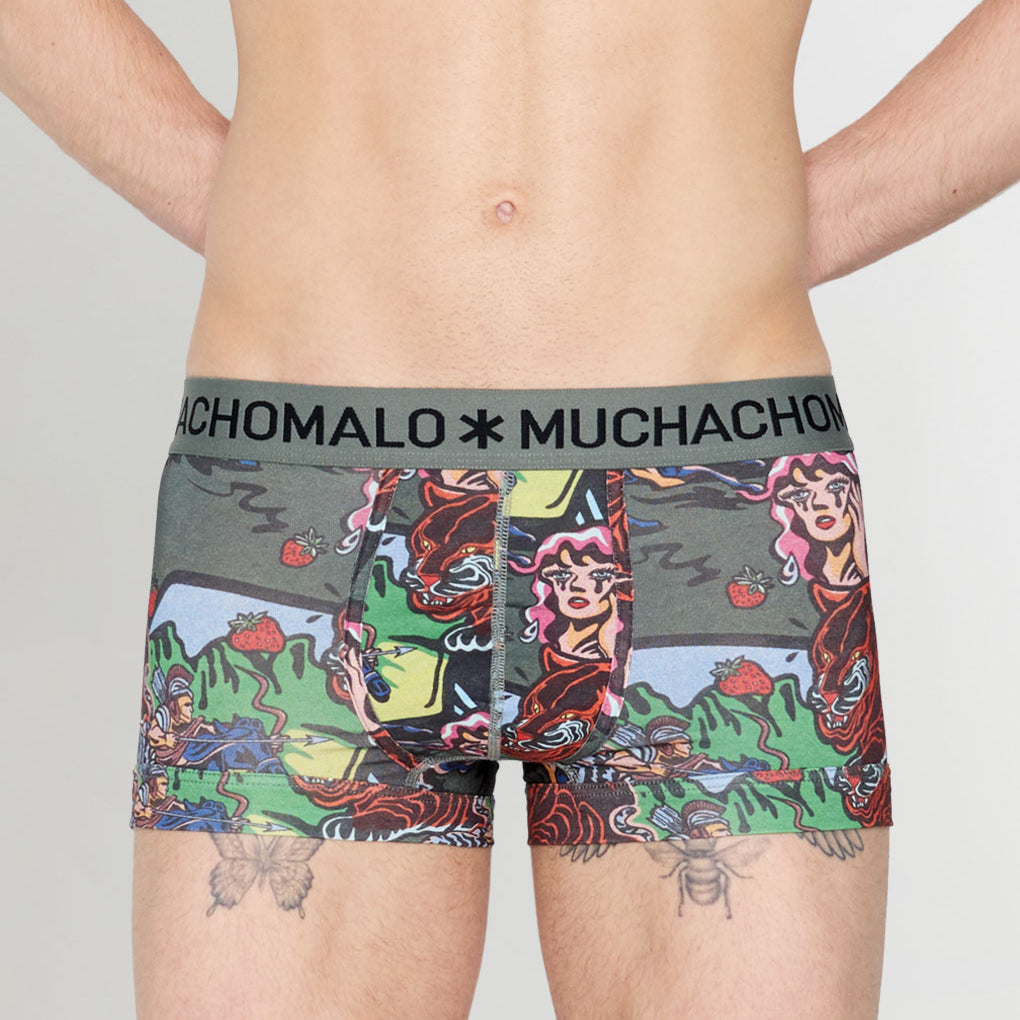 Muchachomalo Fruit Origin Trunk Fruit-origin-print-b