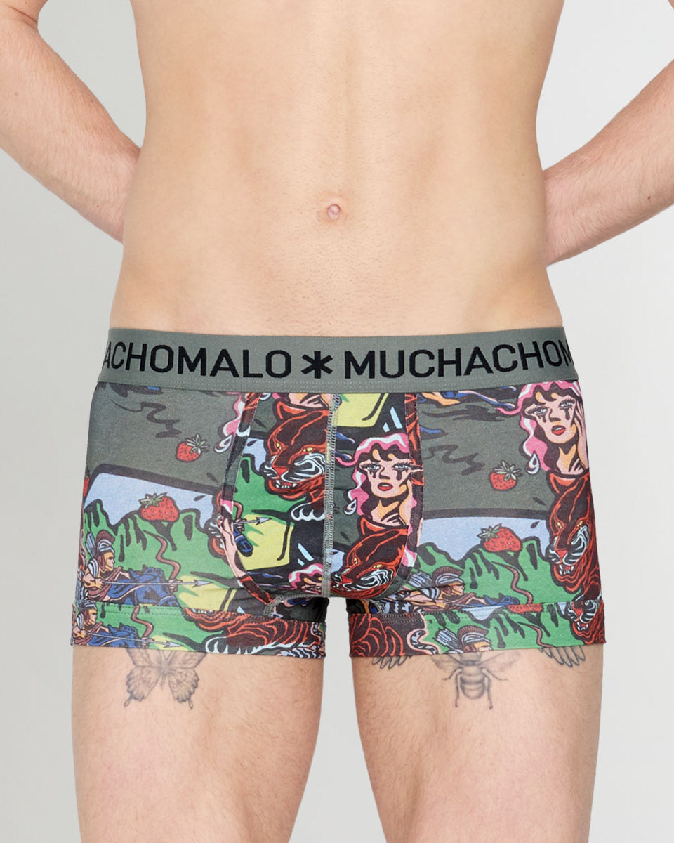 Muchachomalo Fruit Origin Trunk Fruit-origin-print-b