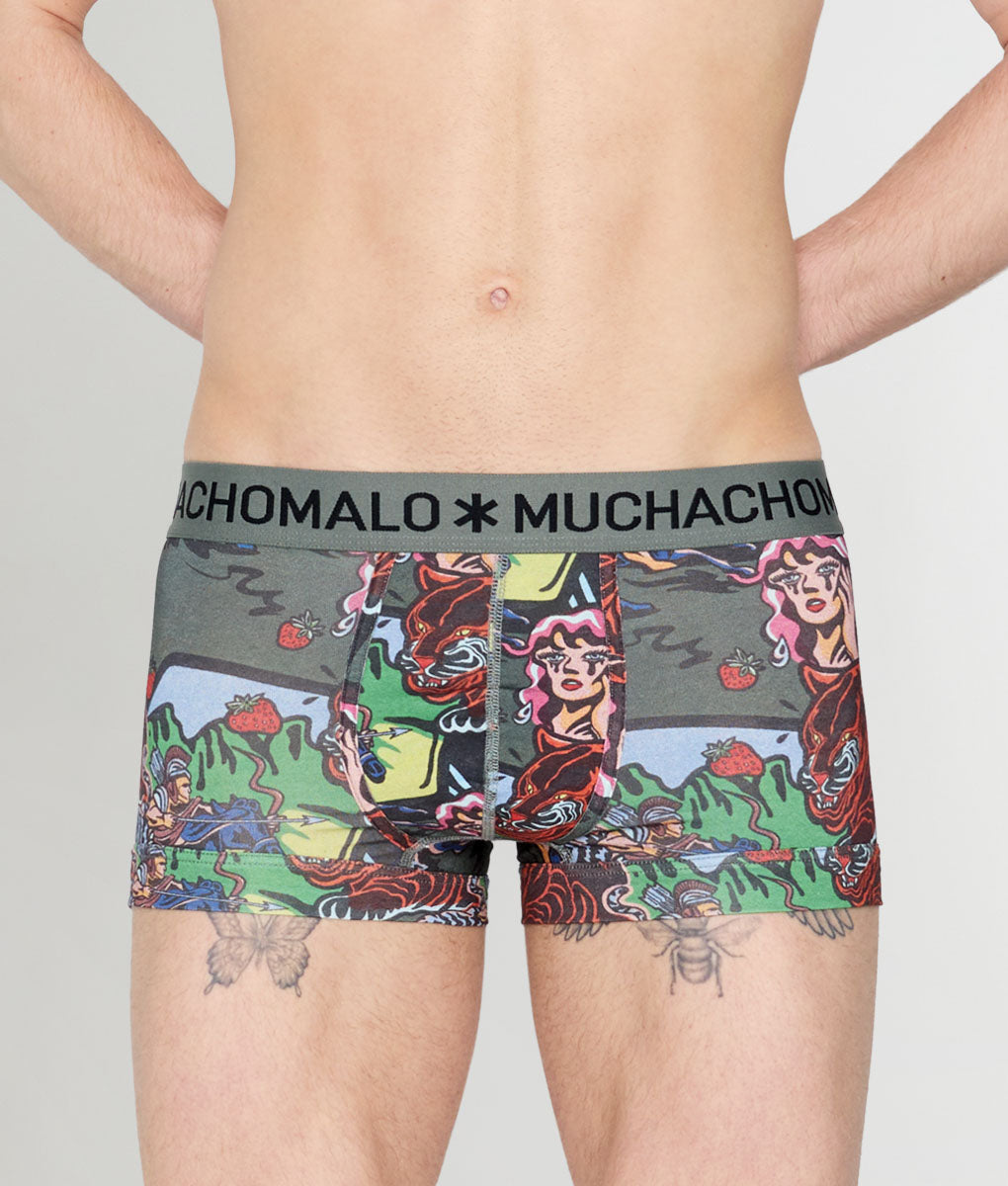 Muchachomalo Fruit Origin Trunk Fruit-origin-print-b