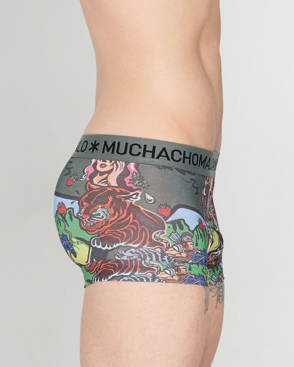 Muchachomalo Fruit Origin Trunk Fruit-origin-print-b