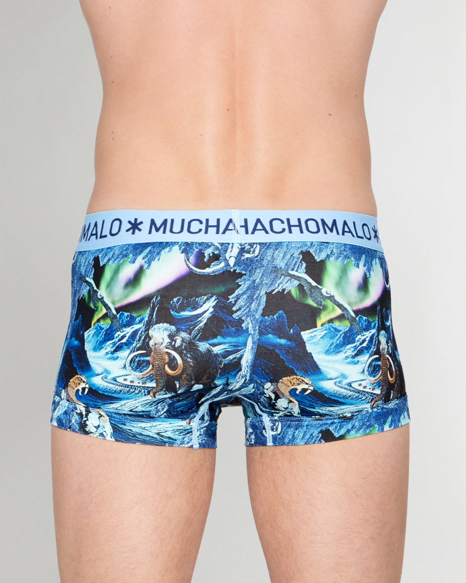 Muchachomalo Pre History Trunk Pre-history