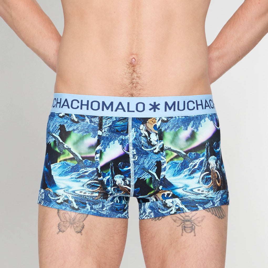 Muchachomalo Pre History Trunk Pre-history
