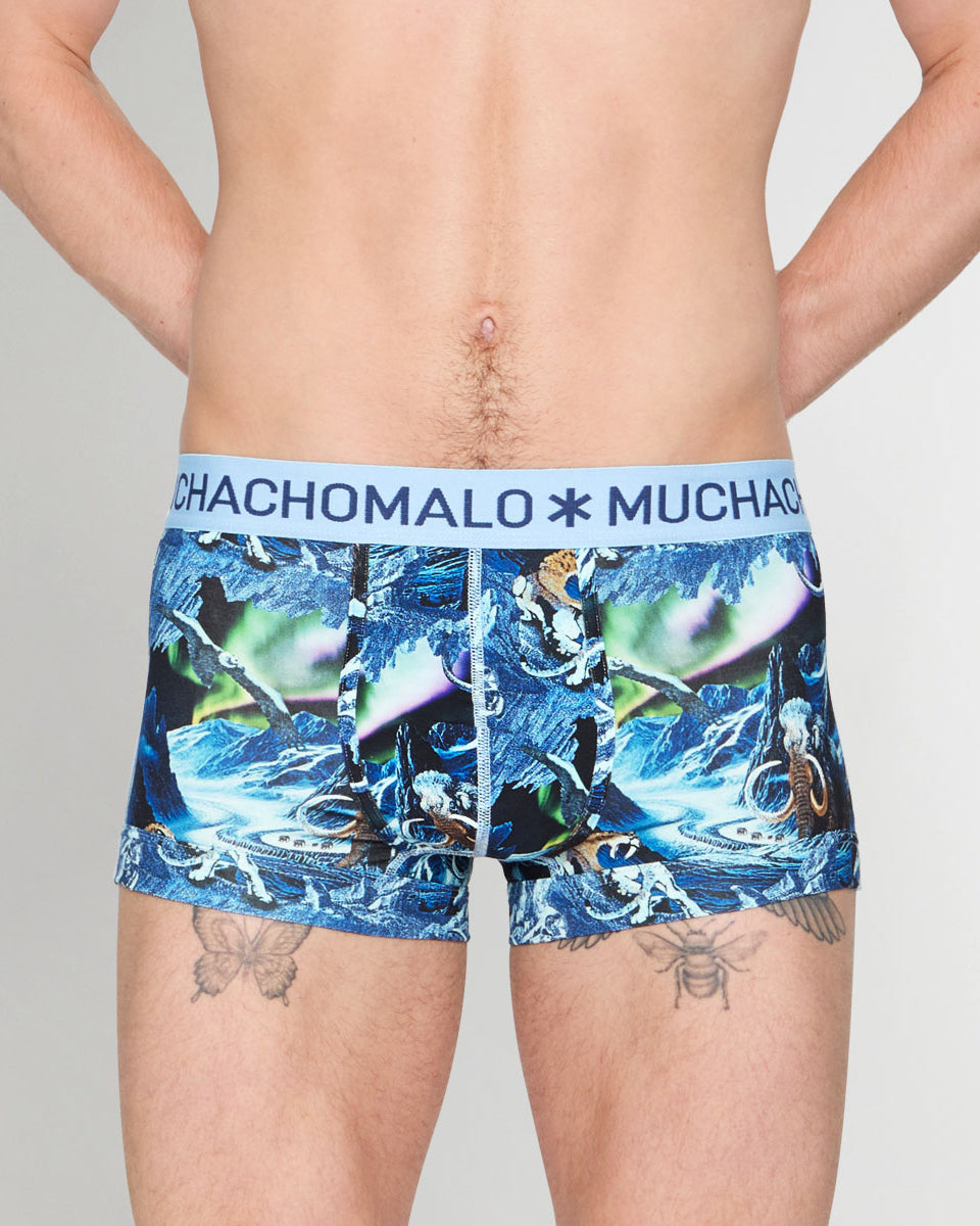 Muchachomalo Pre History Trunk Pre-history