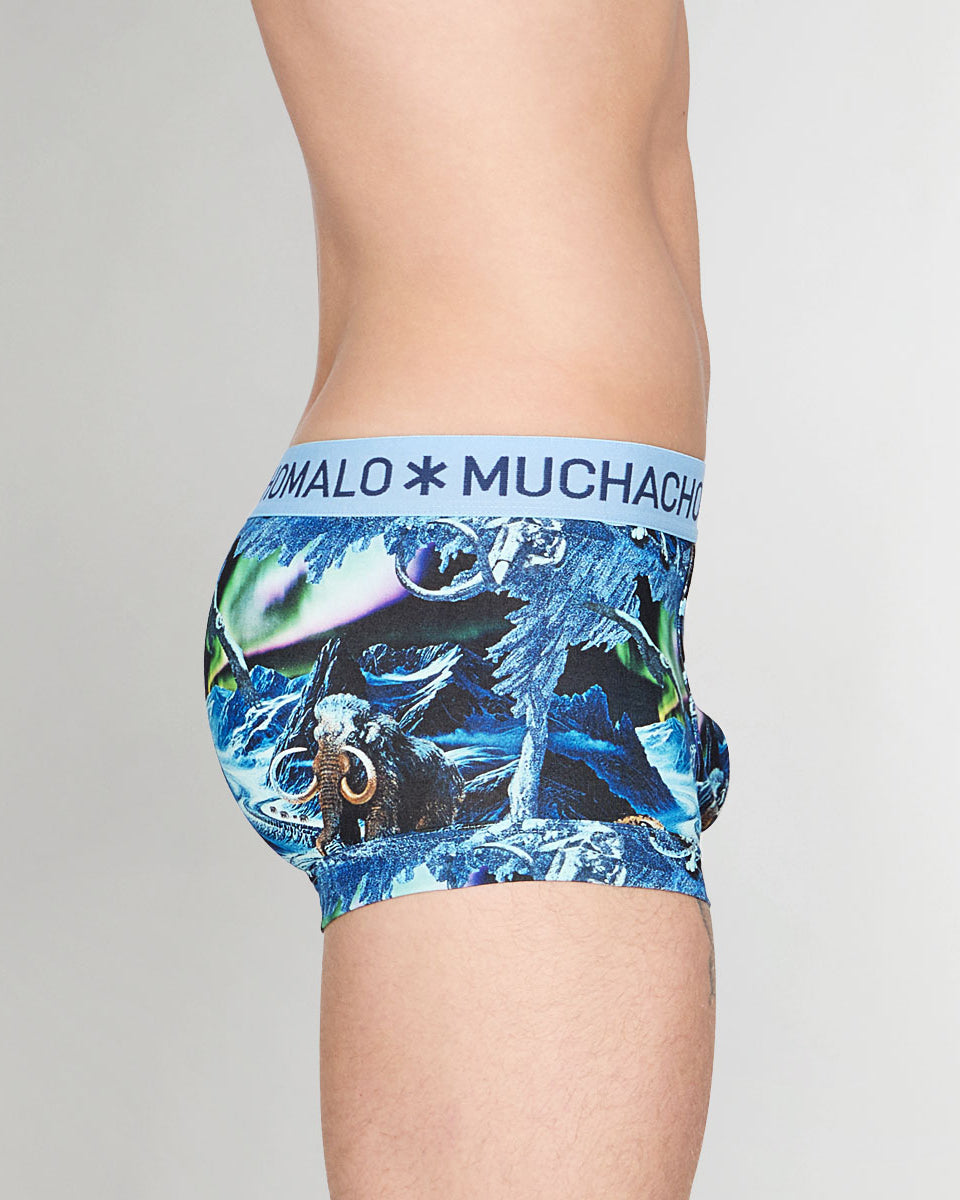 Muchachomalo Pre History Trunk Pre-history
