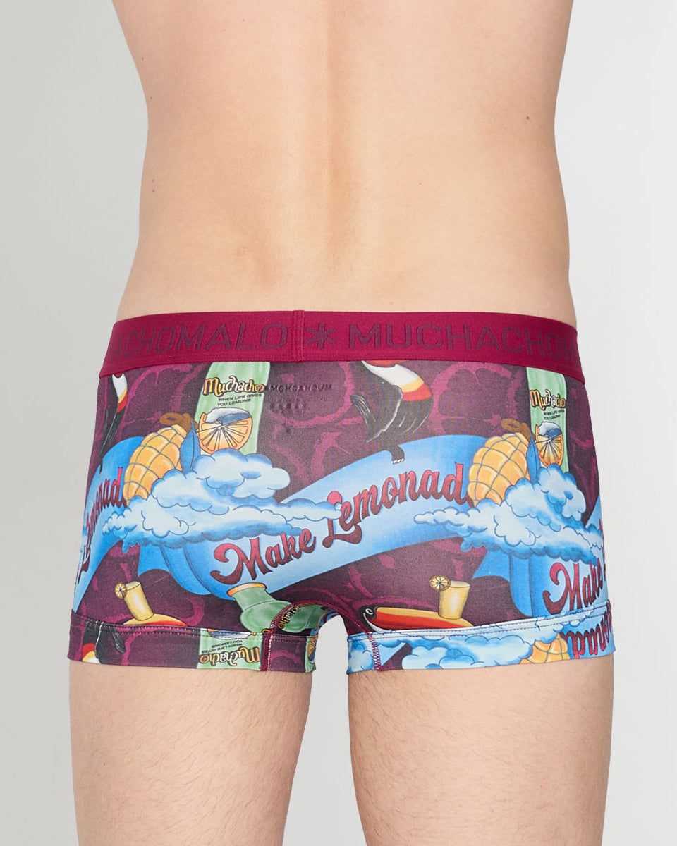 Muchachomalo Summer Fruit Trunk Summer-fruit-print-a
