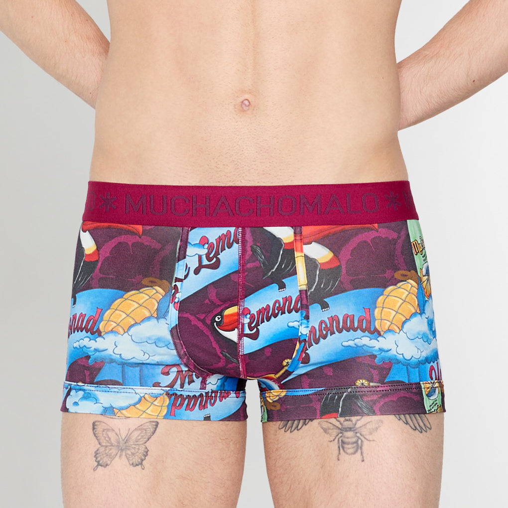 Muchachomalo Summer Fruit Trunk Summer-fruit-print-a