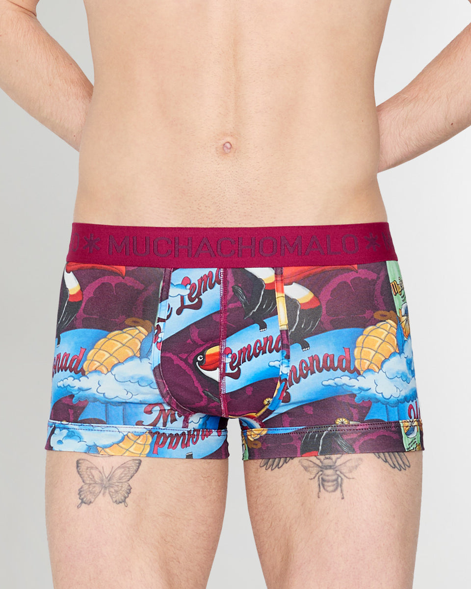 Muchachomalo Summer Fruit Trunk Summer-fruit-print-a