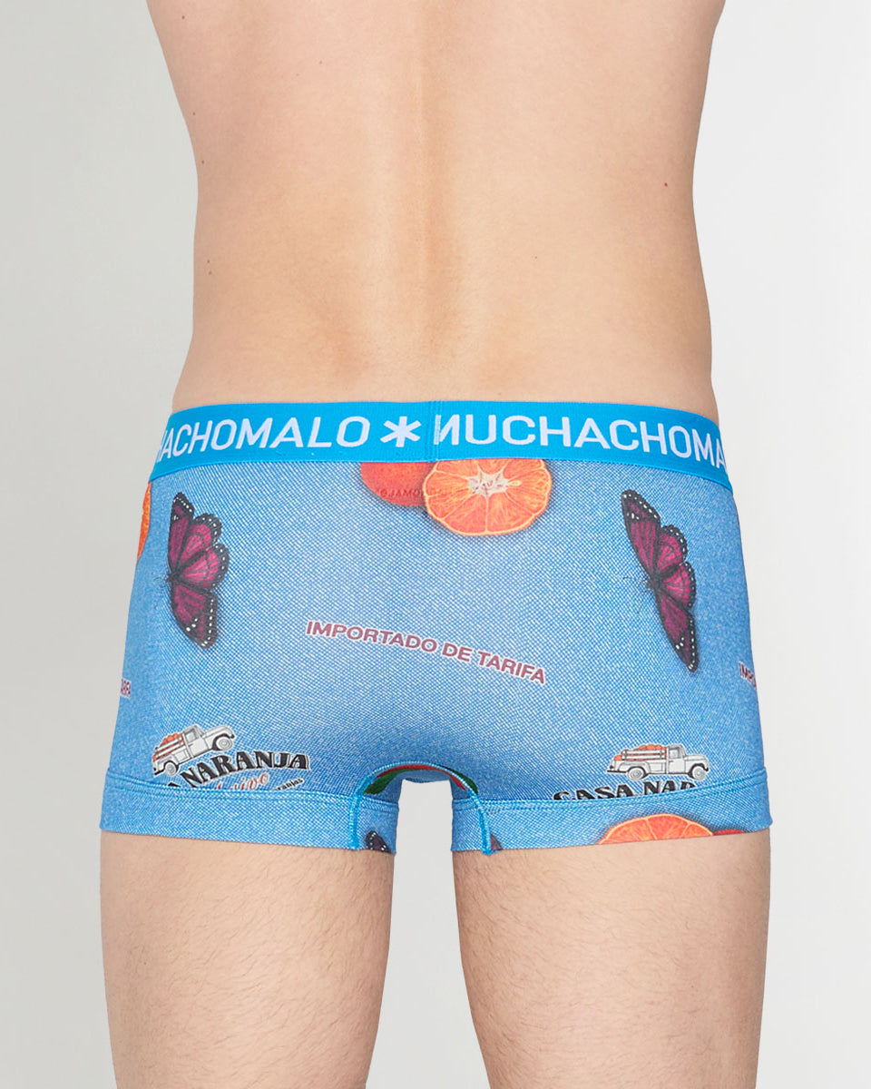 Muchachomalo Summer Fruit Trunk Summer-fruit-print-b