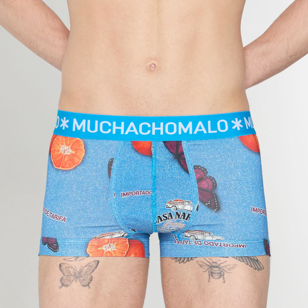 Muchachomalo Summer Fruit Trunk Summer-fruit-print-b