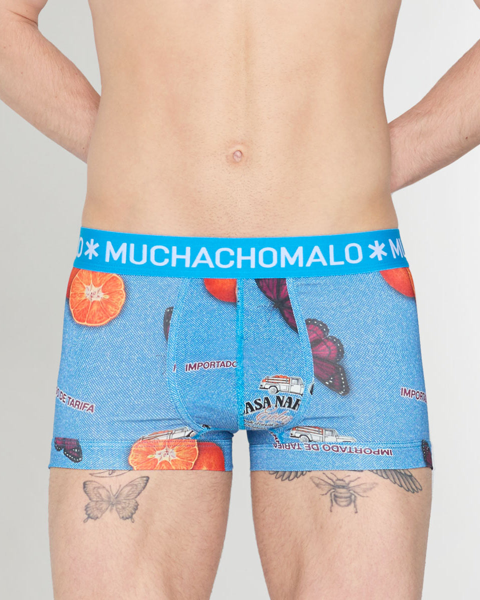 Muchachomalo Summer Fruit Trunk Summer-fruit-print-b