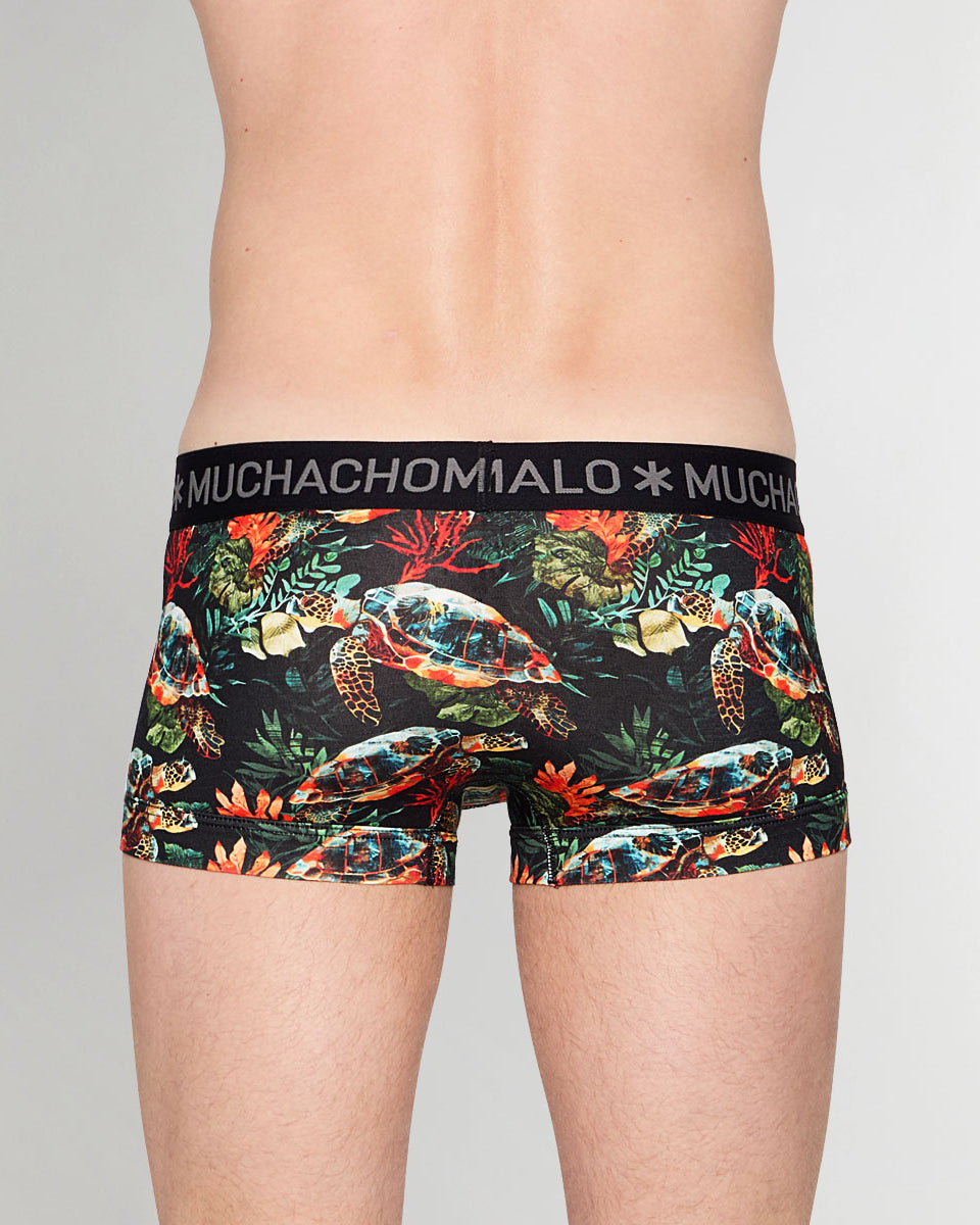 Muchachomalo Turtle Trunk Turtle