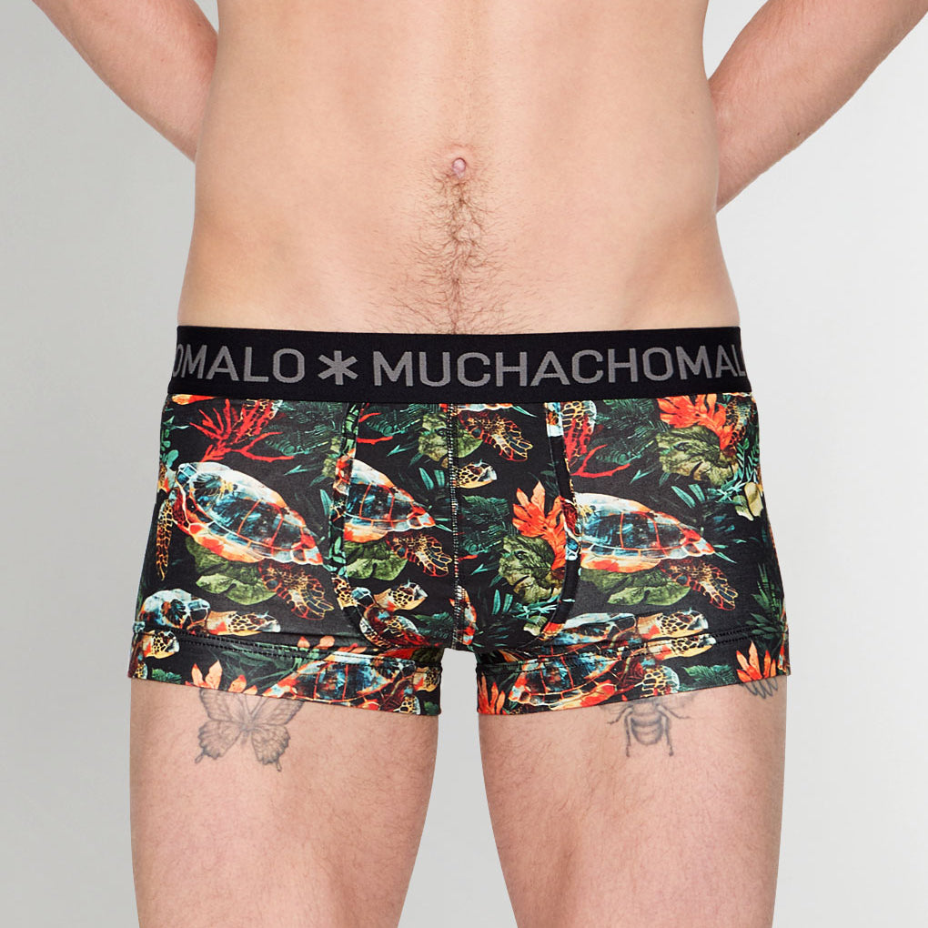 Muchachomalo Turtle Trunk Turtle