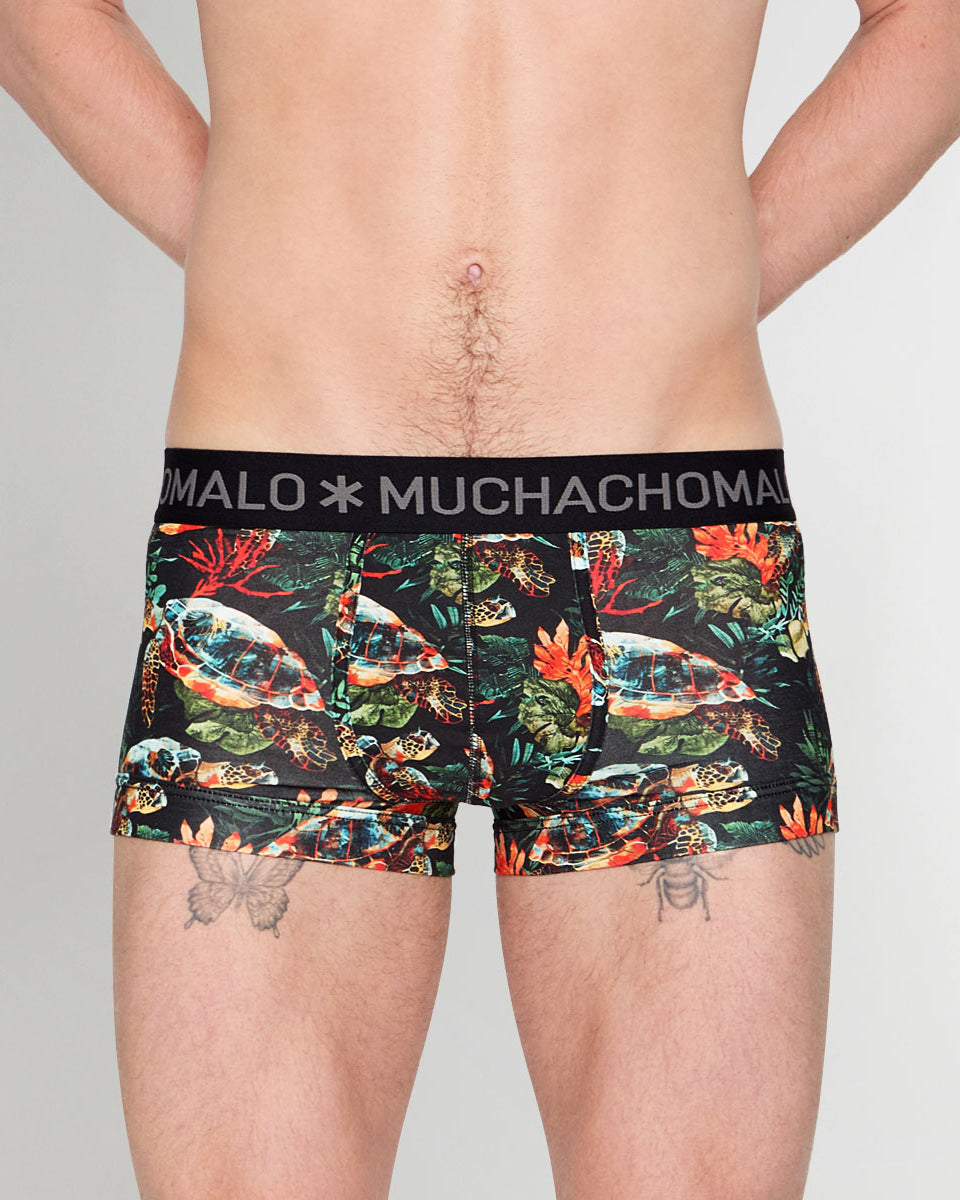Muchachomalo Turtle Trunk Turtle