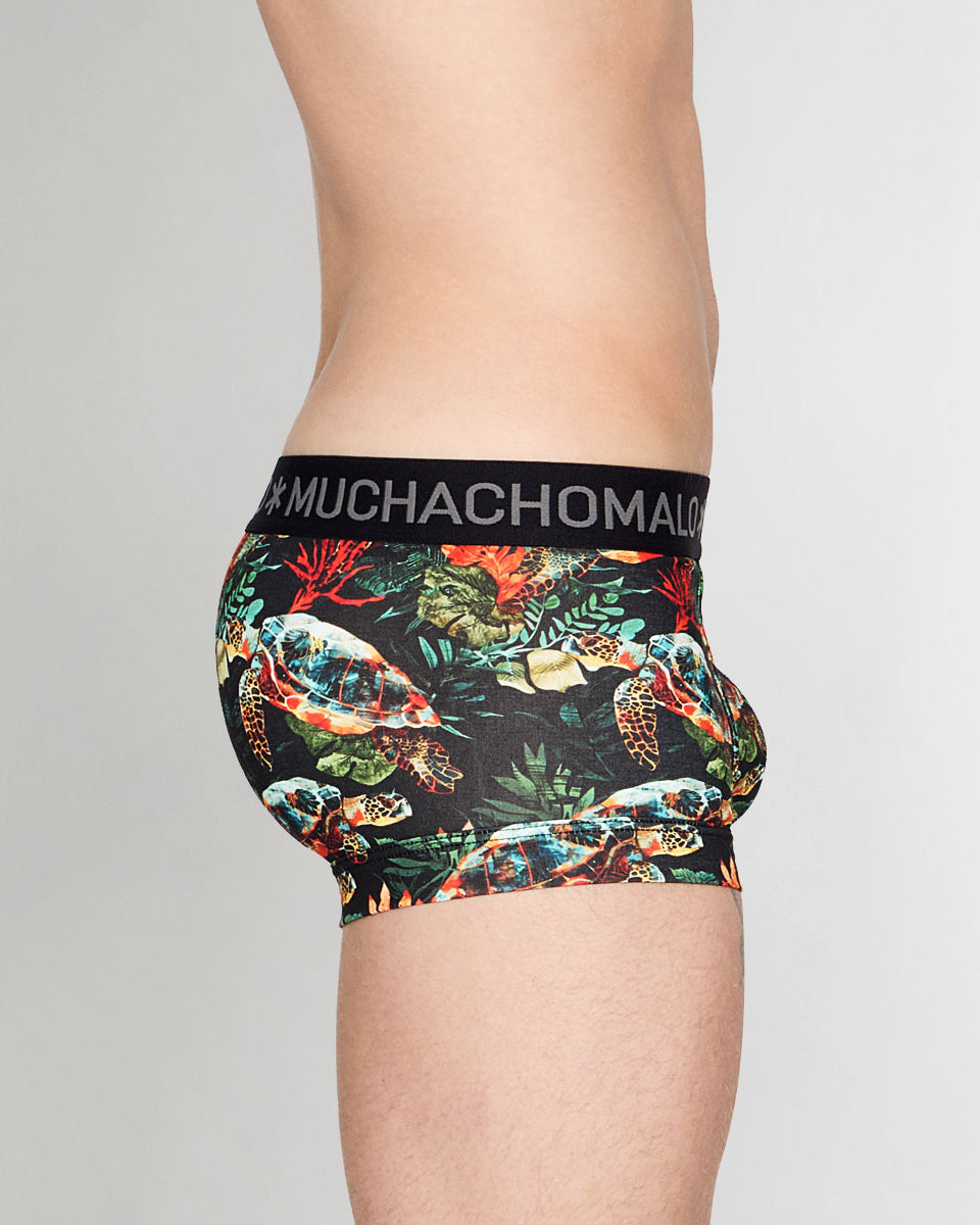 Muchachomalo Turtle Trunk Turtle