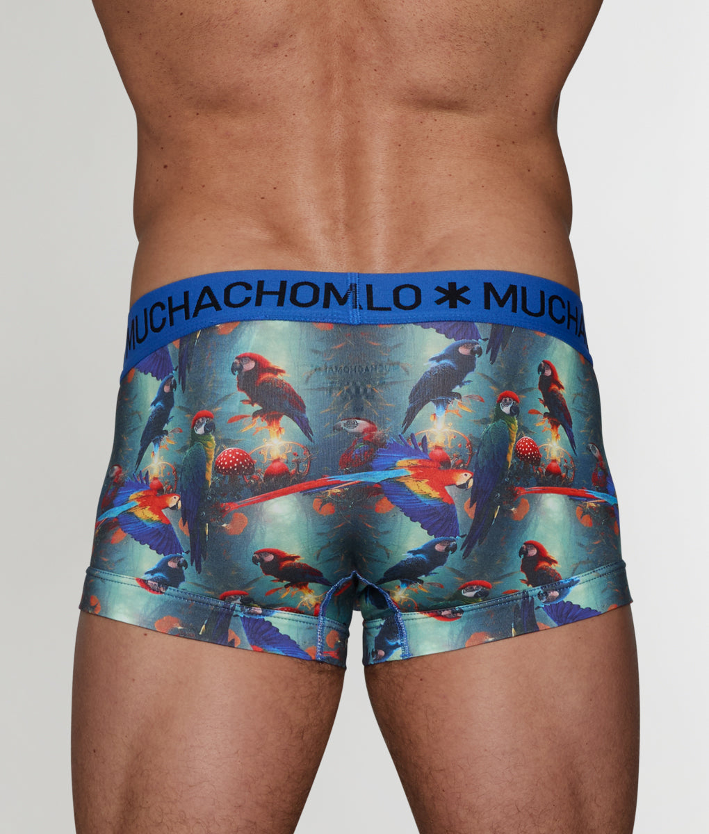 Muchachomalo Papagayo Trunk Muchachomalo Papagayo Trunk Papagayo-a