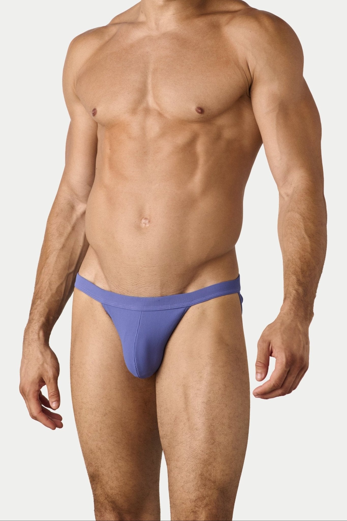 AWRY Oasis Swim Tanga Lavender - mens swim briefs front view