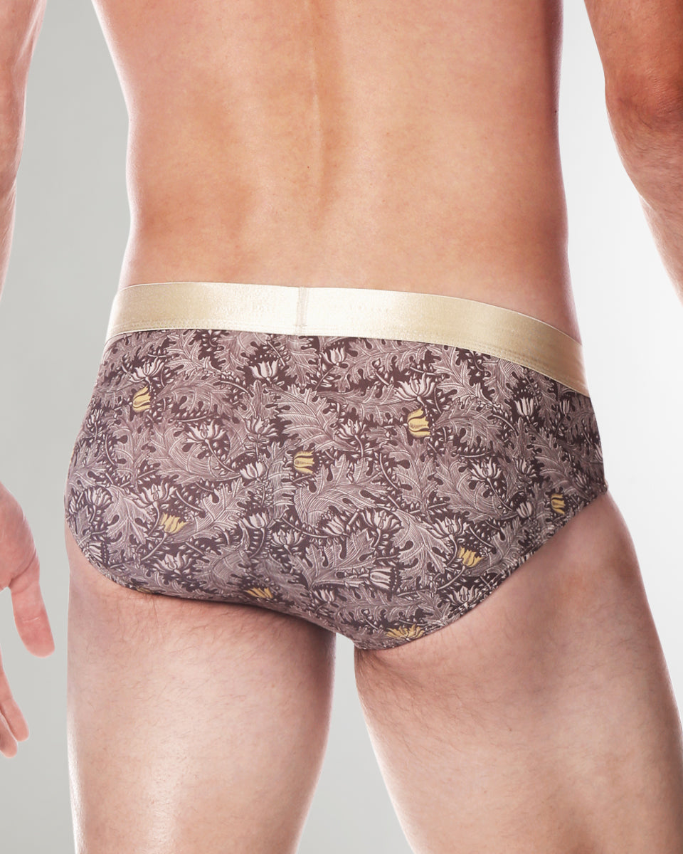 Parke & Ronen Printed Low-Rise Brief Parke & Ronen Printed Low-Rise Brief Gold-cassini