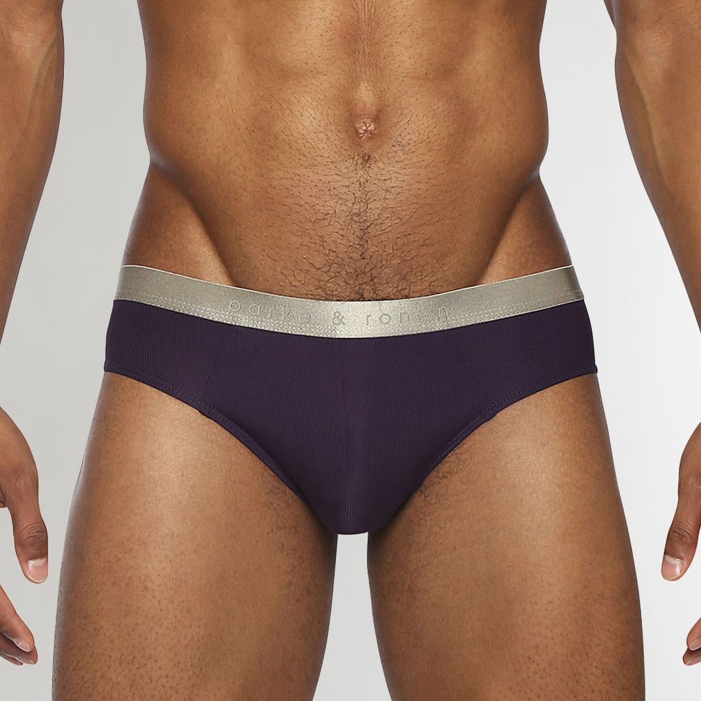 Parke & Ronen Boudoir Nylon Low-Rise Brief Plum
