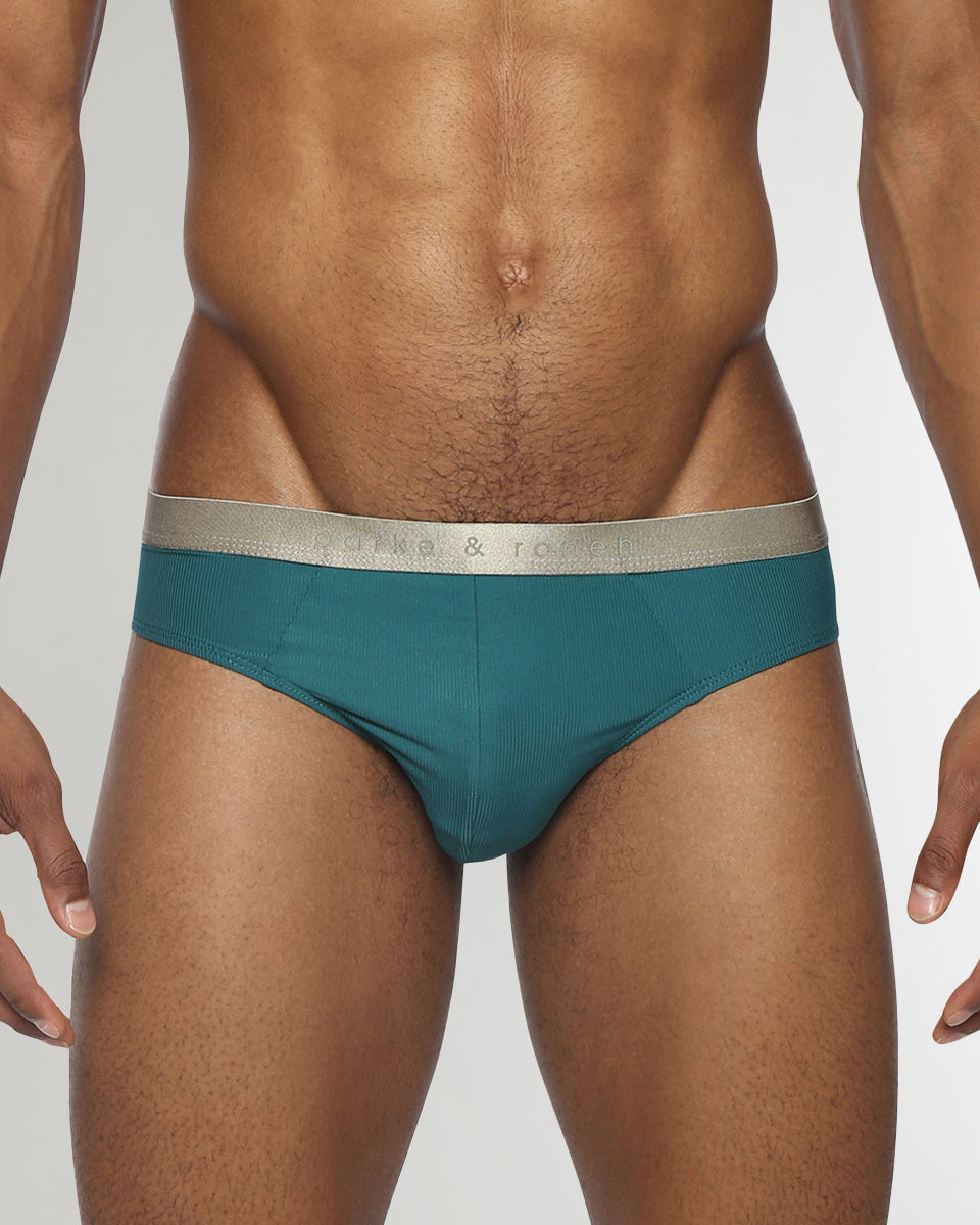 Parke & Ronen Boudoir Nylon Low-Rise Brief Teal