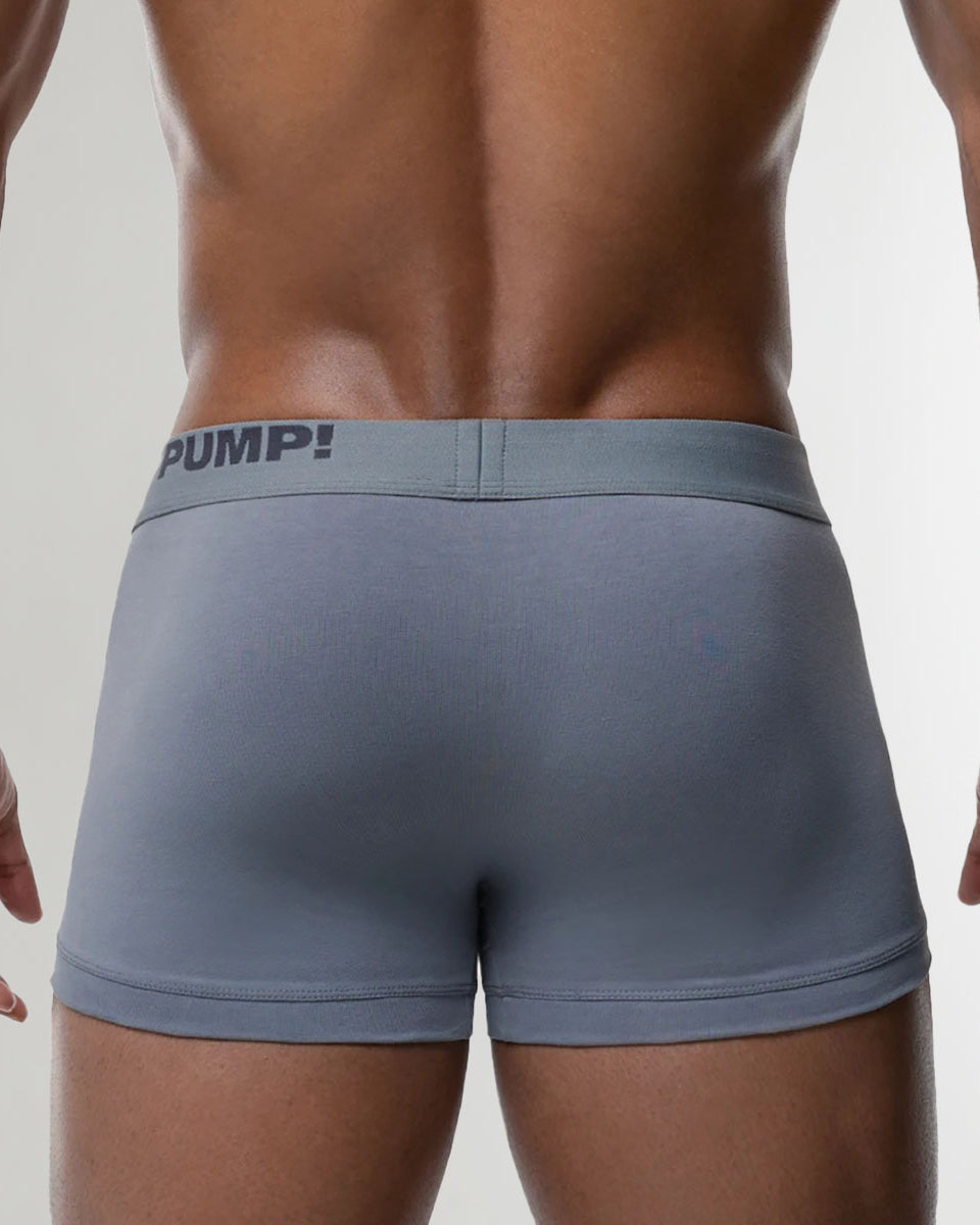 Pump Gray Classic Trunk Gray