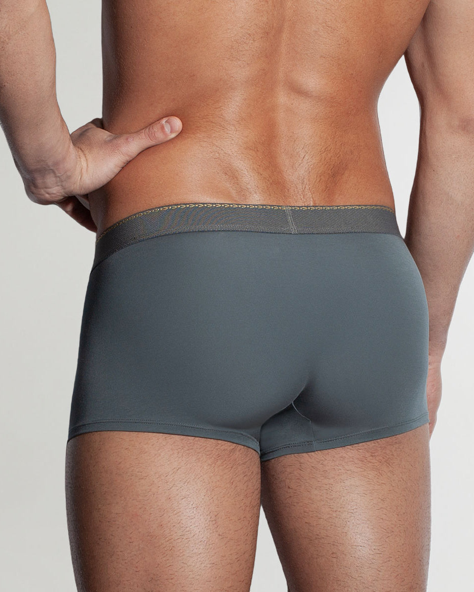 Saligia Greek Ivy Trunk Grey
