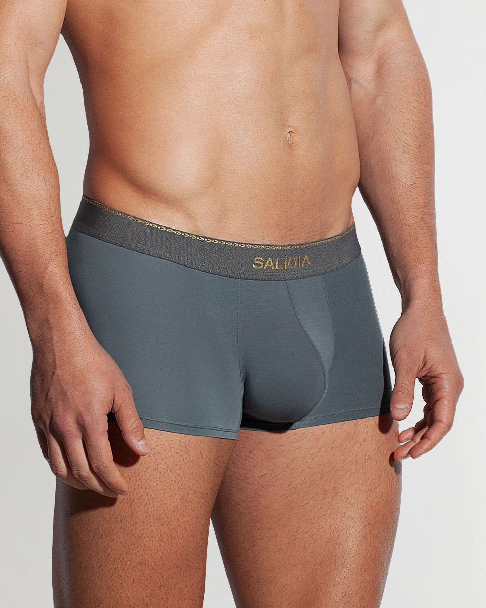 Saligia Greek Ivy Trunk Grey