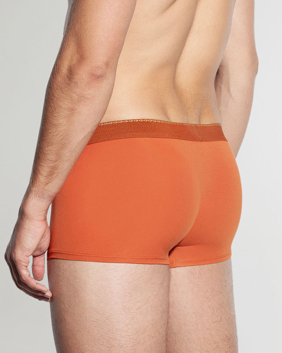 Saligia Greek Ivy Trunk Dark-orange